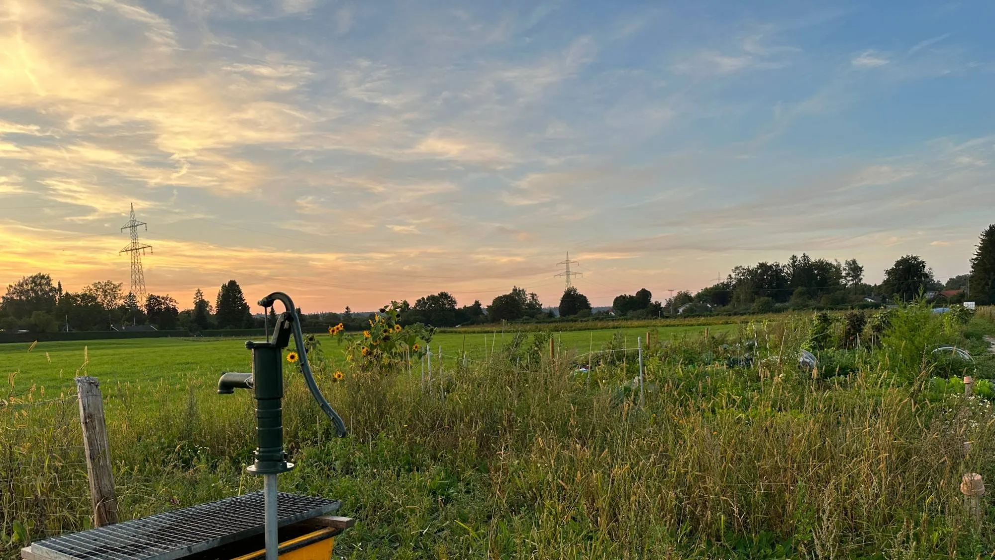 Schwengelpumpe am Brunnen unseres Ackers in Augsburg-Inningen bei Sonnenuntergang, dahinter die Parzellen