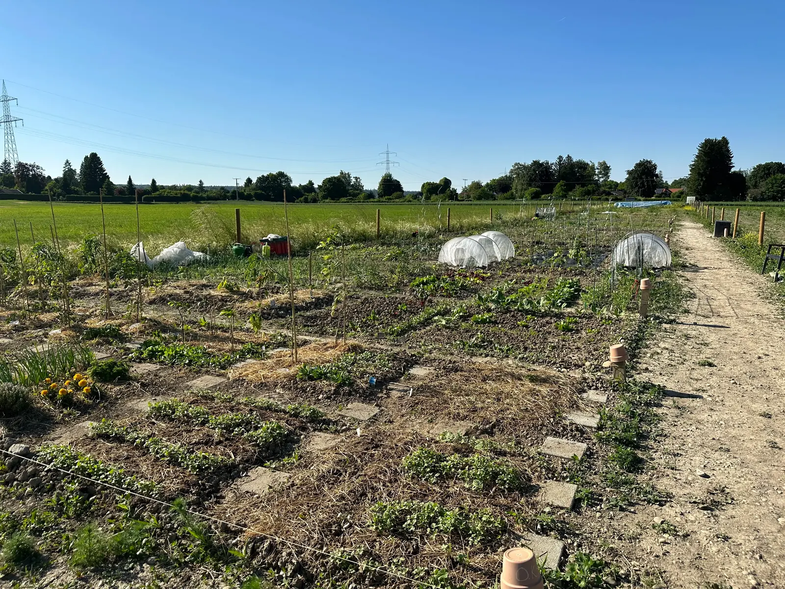 Der DeinMietgarten-Acker in Augsburg-Inningen